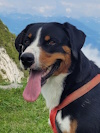 Benutzeravatar