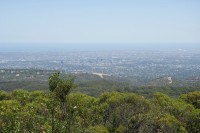 Blick vom Mt. Lofty nach Adelaide