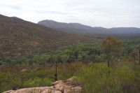 Blick vom Wangarra Lookout in die Wilpena Pound