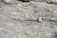 senkrechter Anschnitt des Kalksteins...das ist keine Draufsicht auf eine Platte