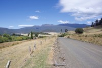 Ben Lomond NP - im Hintergrund