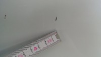 20190603_162042.jpg