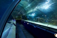 Aquariumtunnel