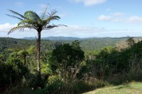 Blick vom Parkinson Lookout