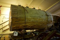 Kauri Stamm im Museum