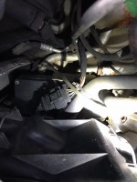 IMG_0110.jpeg