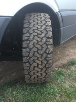 v.l. eingeschlagen Profil.JPG