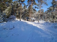 DSC_0008.JPG