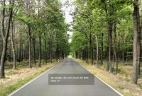 Strasse.jpg