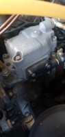 20210427_105249.jpg