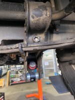 IMG_7042.jpeg