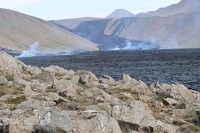 Lavazunge im Geldingardalur