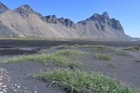 Vestrahorn