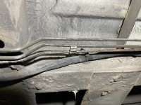 IMG_9430.jpg