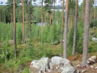 Bei Pieksämäki