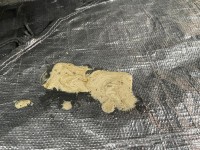 IMG_6670.jpg