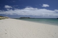 Hamelin Bay