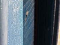 k-IMG_20220730_185044.jpg