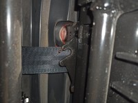 IMG_20230311_145353.jpg