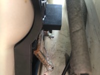 IMG_7942.jpeg