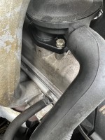 IMG_2942.jpeg
