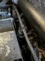 IMG_4757.jpeg
