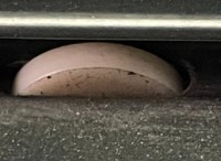 Rolle in oberer Laufschiene.jpg