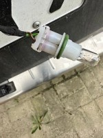 IMG_6059.jpeg