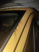 IMG_20240226_183340.jpg