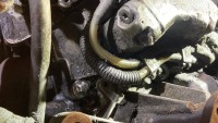 IMG_9126.jpeg