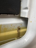 IMG_4328.jpeg