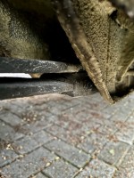 IMG_2695.jpeg