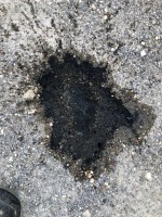 WhatsApp Image 2024-04-30 at 09.29.38.jpeg