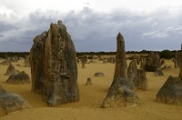 Pinacles