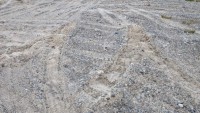 PXL_20240709_190724175.MP.jpg