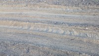 PXL_20240709_175559247.jpg
