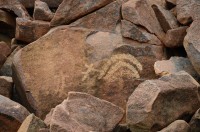 Petroglyphen Barrup Halbinsel