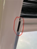 IMG_3352_Original.jpeg