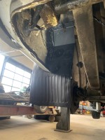 IMG_6179.jpeg