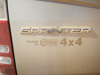 IMG_20241011_104746.jpg