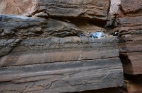 Alles Asbest....also das bläuliche rechts...der Rest ist das Bändereisenerz - also das Material für neue Sprinterkarossen...