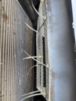 IMG_9933.jpeg