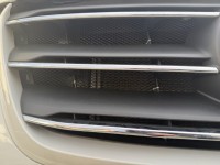 IMG_9938.jpeg