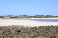 Rottnest Island