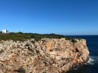 IMG_5895.jpg