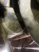 IMG_2651.jpeg