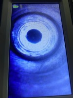 IMG_2748.jpeg