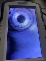 IMG_2747.jpeg