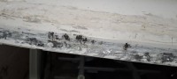 20250206_203007.jpg