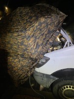 IMG_2770.jpeg